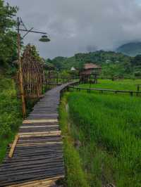 Sapan in rainy season.Nan province,Thailand