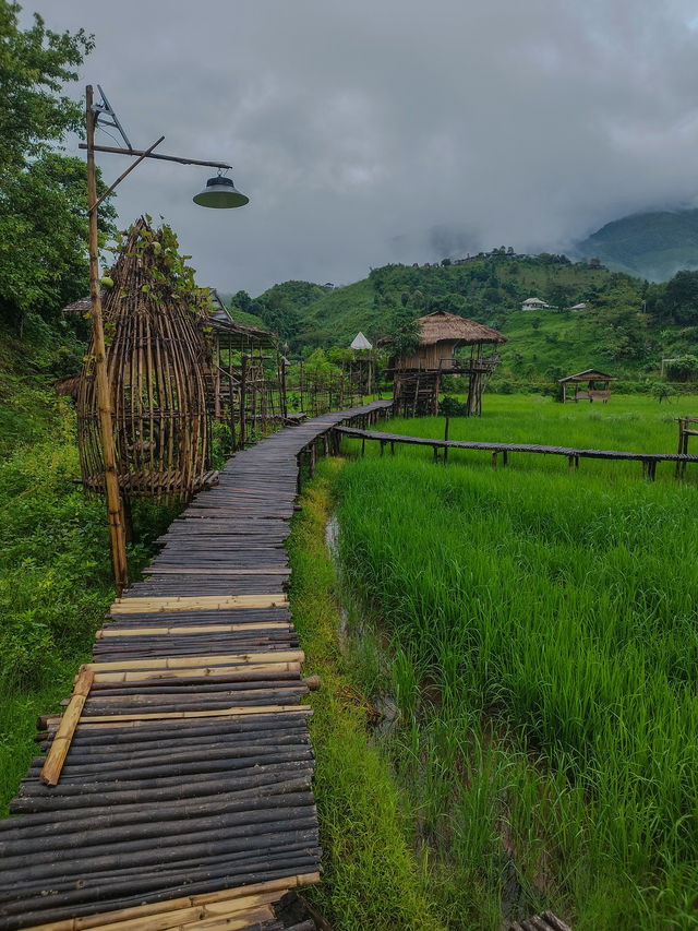 Sapan in rainy season.Nan province,Thailand