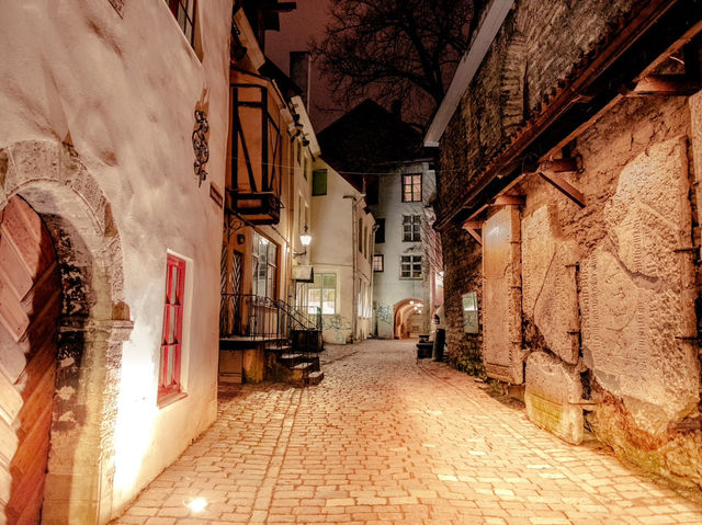 塔林｜Olde Hansa 中古世紀餐廳 🍽️