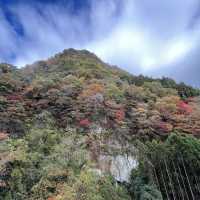 【鎧岳】関西百名山 & 【兜岳】