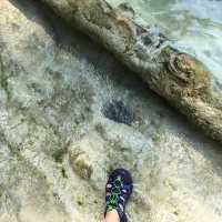 古都ルアンパバン唯一のパワースポット、クアンシーの滝で癒しの旅