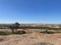Awe-Inspiring Outdoor Adventure at Wave Rock