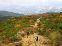 【福島県】紅葉の絨毯の絶景広がる「安達太良山」