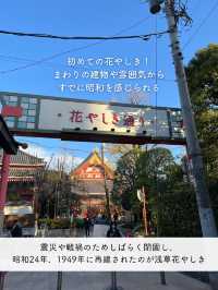 【浅草】日本最古の遊園地、浅草花やしきレビュー