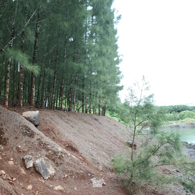 เหมืองหินถ้ำทองหลาง