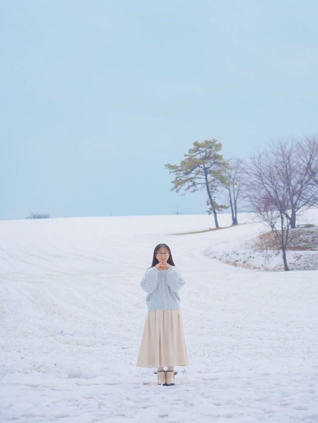 (실시간) 여기가 바로 K삿포로, 합포로 카페 피어라입니다❄️🩵