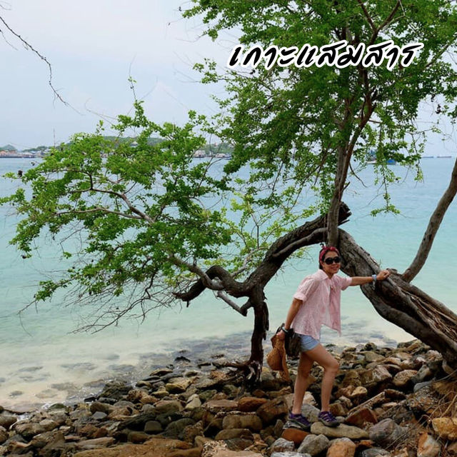 ⛱️ เกาะแสมสาร
