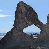 Narooma，海豹，果冻海