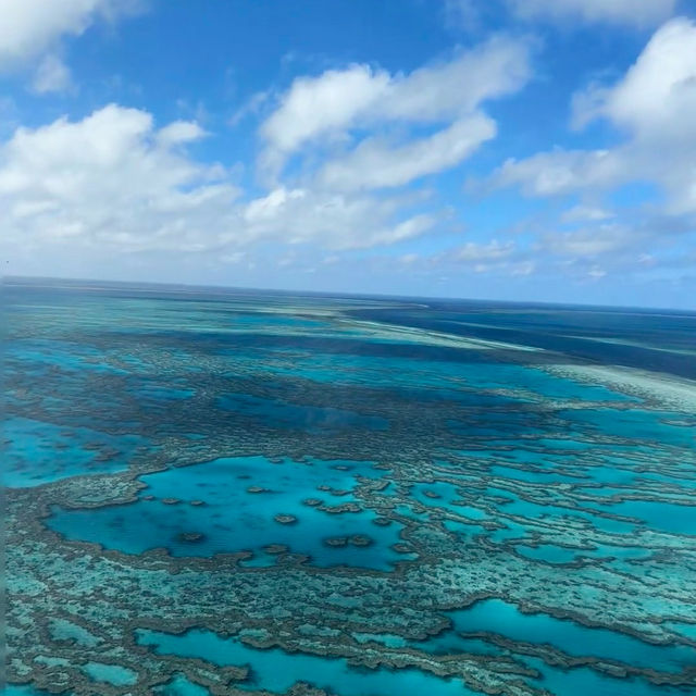 Soaring Above and Diving Below: My Spectacular Day at the Great Barrier Reef!
