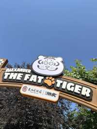 Siberian Tiger Park: Face-to-Face with the Kings of the Snow
