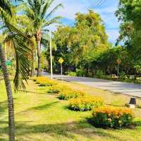 🛣 สวนสาธารณะบึงหนองบอน