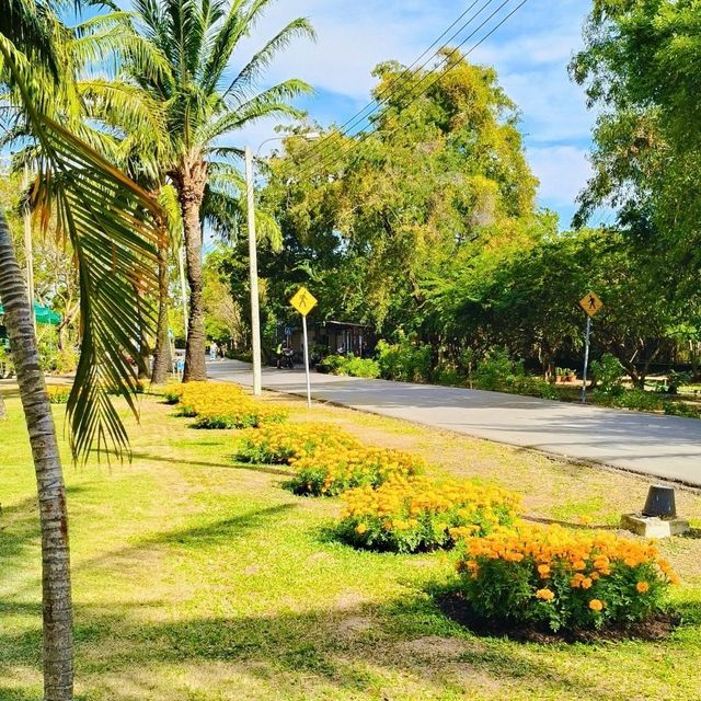 🛣 สวนสาธารณะบึงหนองบอน