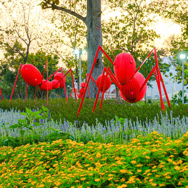 สวนดอกไม้วิวเขา “สวน อบจ เชียงใหม่” 