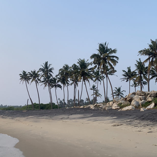 🖤BLACK🖤 sand beach in INDIA? 