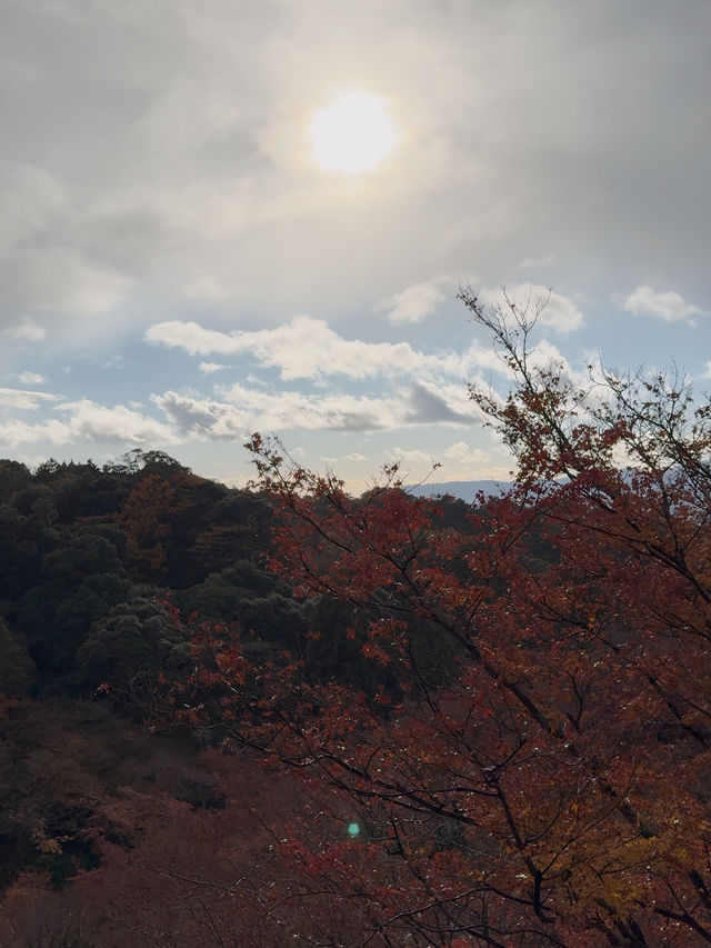 First Snowfall at Kiyomizudera: A Magical Winter Scene with Rainbow and Sunset