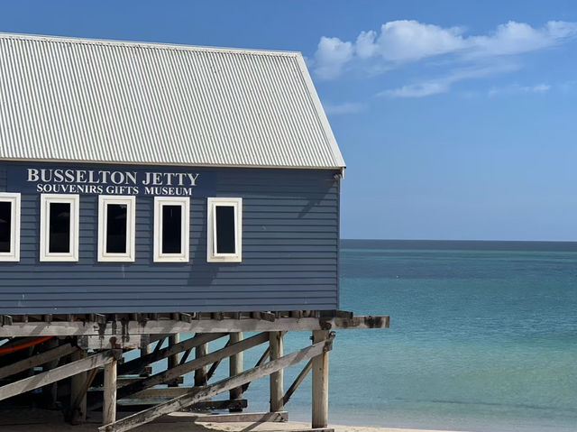 西澳洲必去景點🚂千與千尋海中火車🚂巴瑟爾頓碼頭 Busselton Jetty