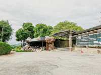 泰國最好玩嘅動物園HuaHin safari adventure zoo@Thailand 