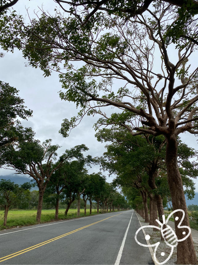 台東 池上牧野度假村 🐐羊咩咩朝我而來