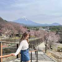 SAIKO Iyashi no sato NENBA 