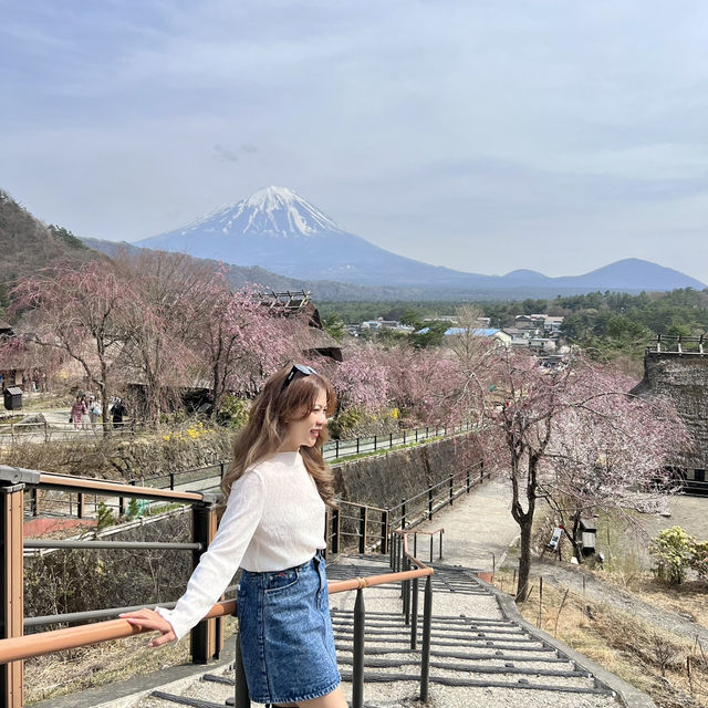 SAIKO Iyashi no sato NENBA 