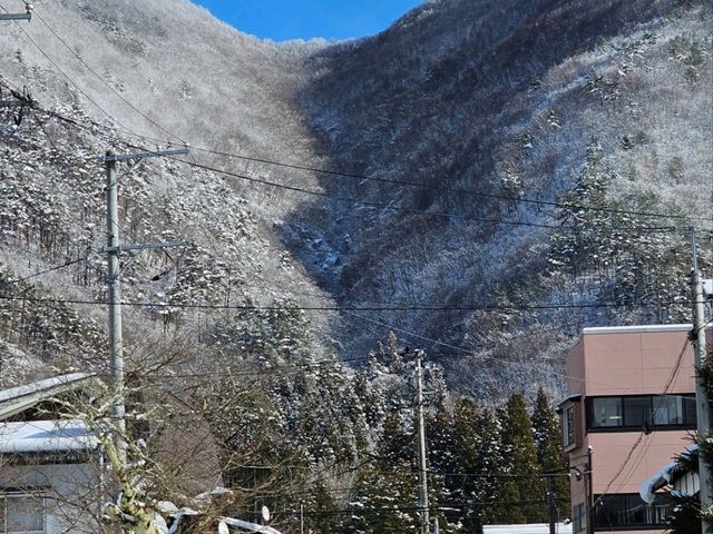 Aizu and all around the region!