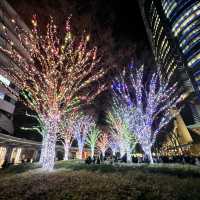 A Magical Holiday Experience: Christmas Illuminations in Tokyo