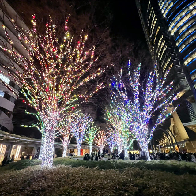 A Magical Holiday Experience: Christmas Illuminations in Tokyo