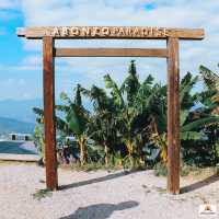 ABONZO Paradise