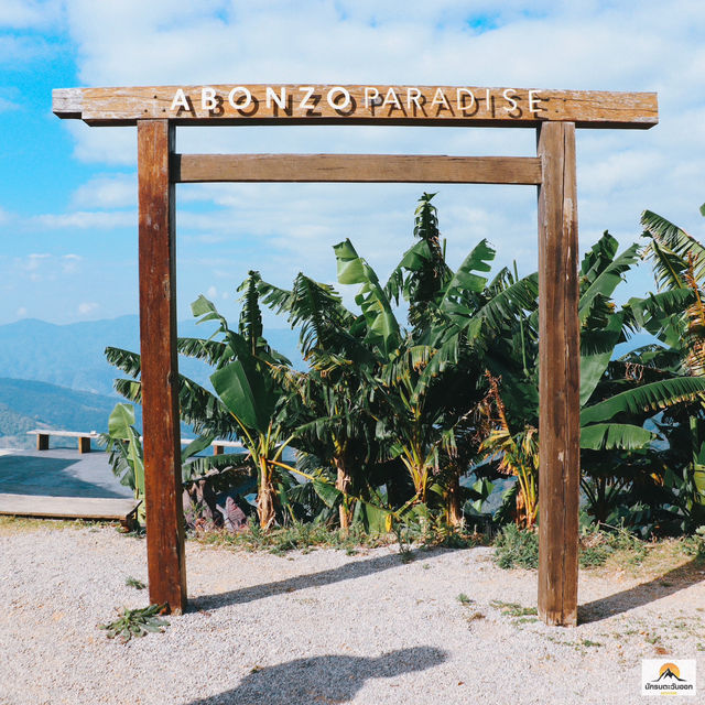 ABONZO Paradise