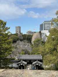 東京景點推薦：皇居