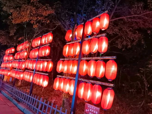 ถนนโบราณจินหลี่ 锦里古街 (jinli street)