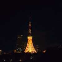 東京タワー夜景散歩：煌めく東京の象徴を巡る旅