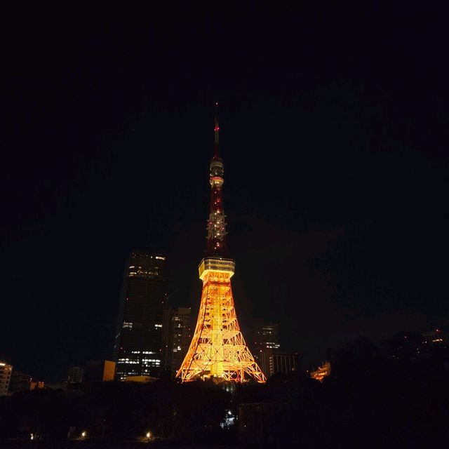 東京タワー夜景散歩：煌めく東京の象徴を巡る旅