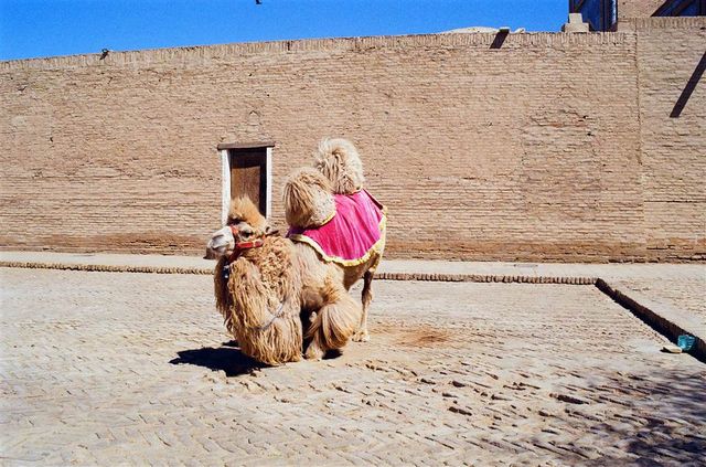 Uzbekistan — A Bag of Gold Just to See Khiva