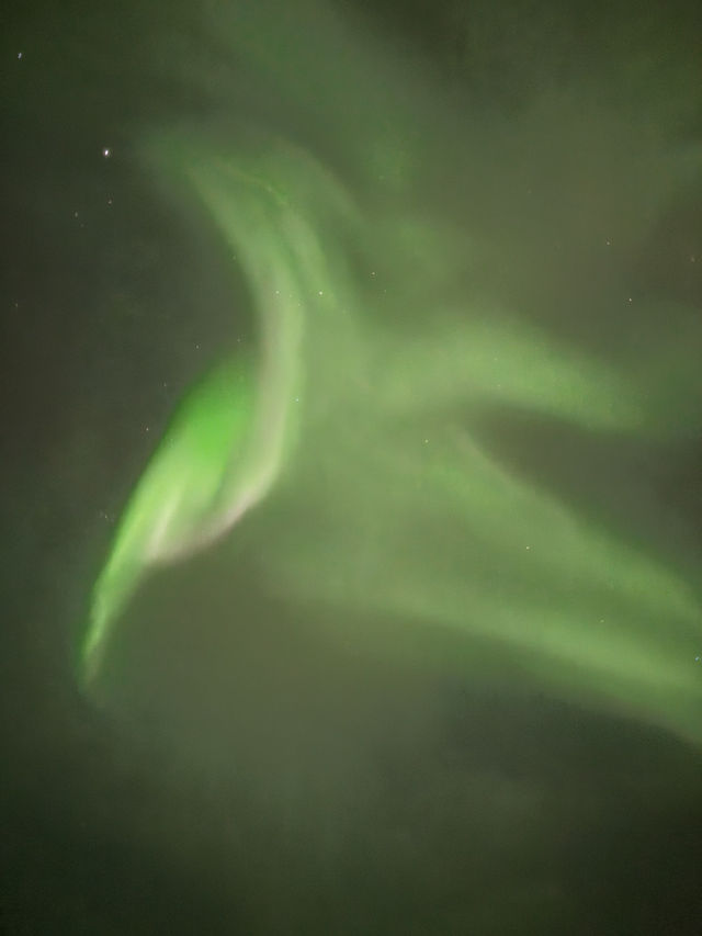 Chasing for Northern lights? I stayed here and enjoyed the amazing experience every single night!