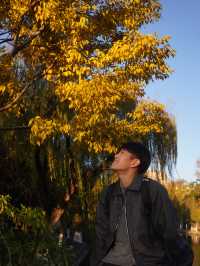 A Perfect Day at Cuihu Park (翠湖) – My Favorite Kunming Itinerary