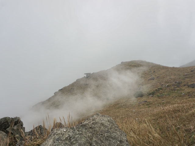 Into the Mist: The Enchanting Hike Up Sunset Peak