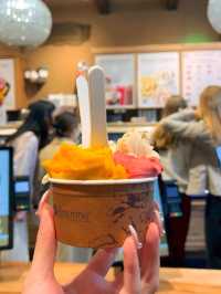 🇬🇧🇫🇷英國法國🍧街頭雪糕🍦首選🏅