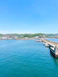 「桜島フェリー乗り場」鹿児島市と桜島を結ぶ交通拠点