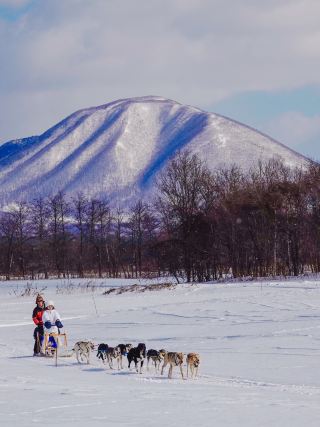 北海道狗拉雪橇體驗