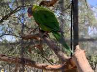 Moonlit Sanctuary: A Magical Wildlife Encounter