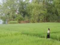 PHATTHALUNG 🌱🌤️