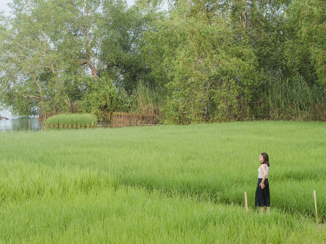 PHATTHALUNG 🌱🌤️