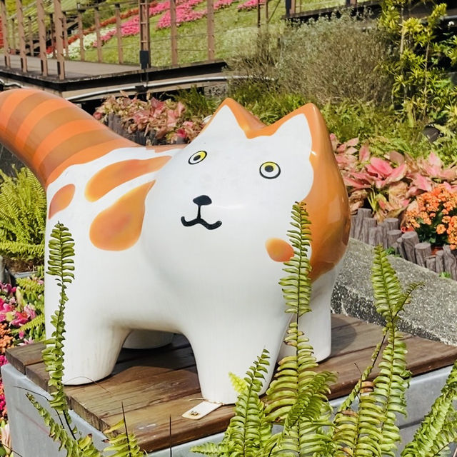 貓空漫遊-步道、美景與茶香的完美結合