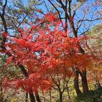 【釜山】這裡擁有多條海岸步道，能夠欣賞南海的壯闊景色。