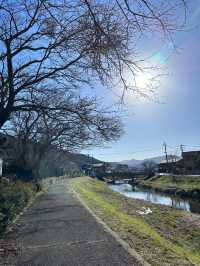 Honeymoon trip in Yufuin