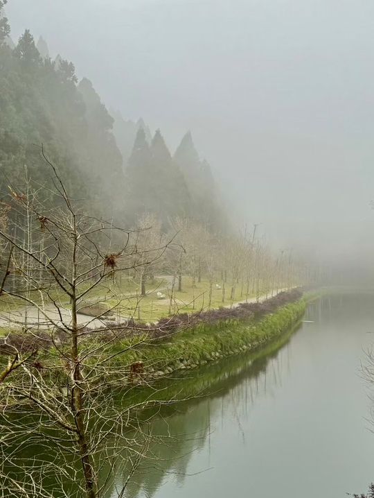 杉林溪：近山近花靜心