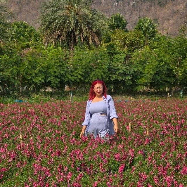 Hokkaido Flower Park Khaoyai