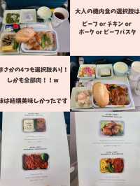【ANAマイル利用】０歳子連れベトナム航空の使い方