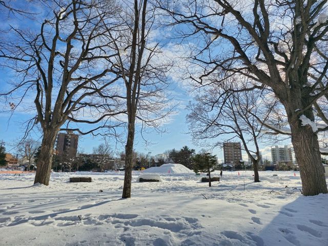 겨울여행 북해도 아사히카와 인기 공원 ⭐️Tokiwa Park 산책